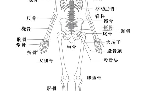 孕妇补雌激素吃什么药-【孕早期补充雌激素的副作用】孕期补充雌激素的食物有哪些 - 孕期补充雌激素的食物网